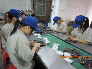 東莞安盈檢品工廠 專業(yè)為出口日本市場提供100%檢查服務(wù)、廠家直銷與價格優(yōu)勢